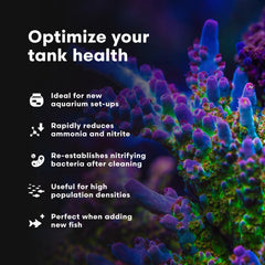 Brightwell Aquatics MicroBacter Start XLM – gouttes versées dans l’aquarium, démontrant l’application simple.
