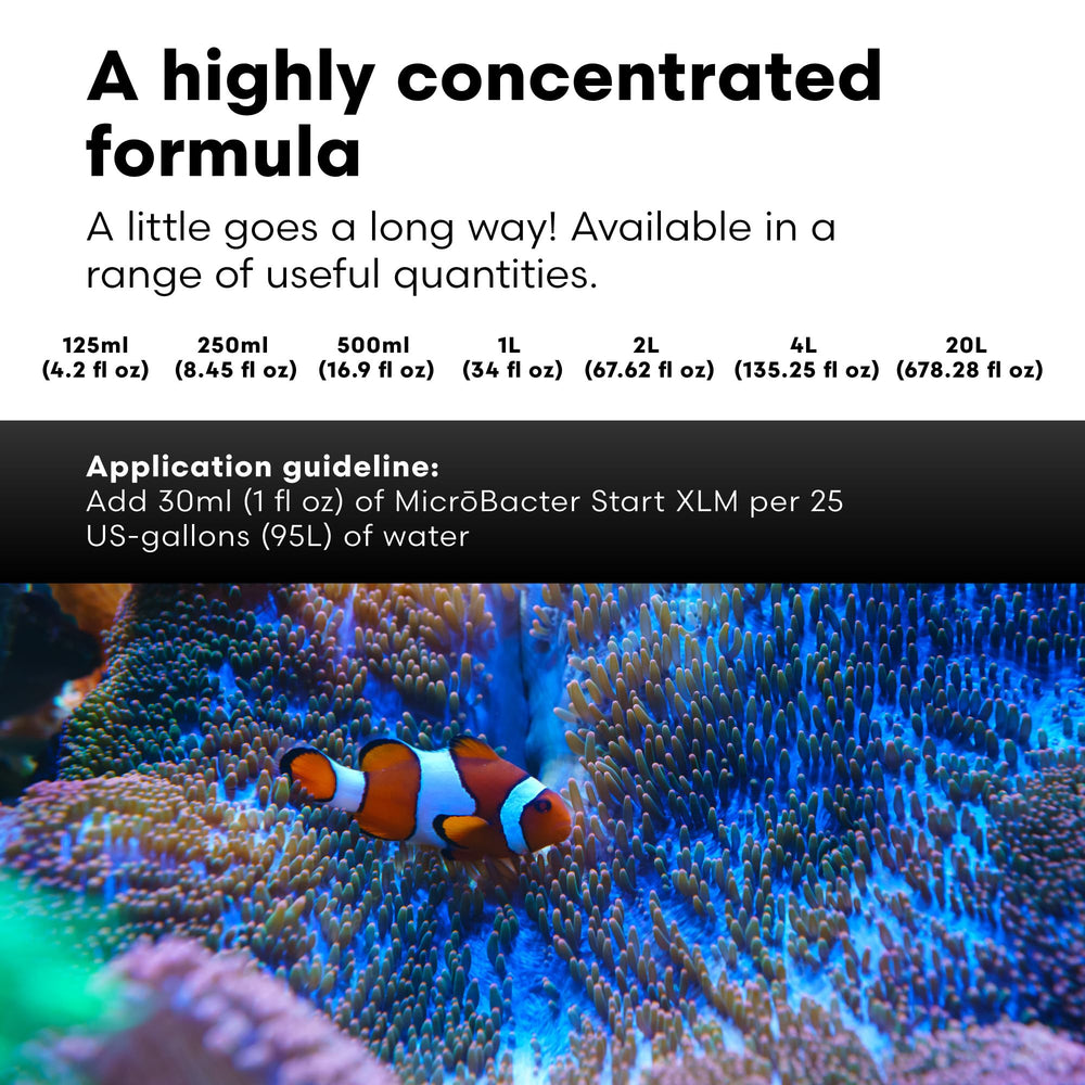 Brightwell Aquatics MicroBacter Start XLM – nouvel essai de cycle dans un aquarium, preuve d’un démarrage rapide.