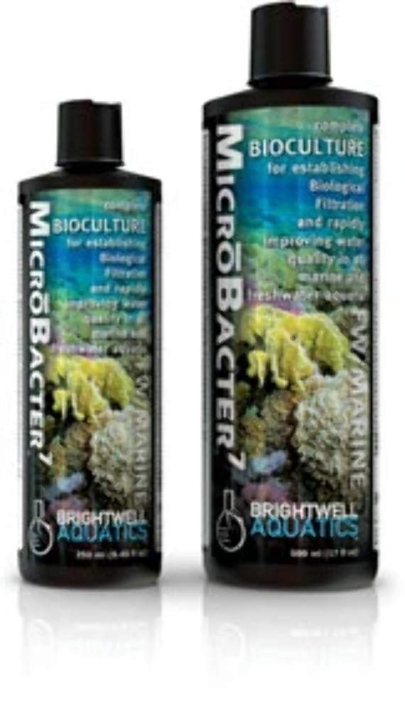Brightwell Aquatics MicroBacter7 – bouteille d’entretien qui peut améliorer la filtration et la clarté de l’eau.
