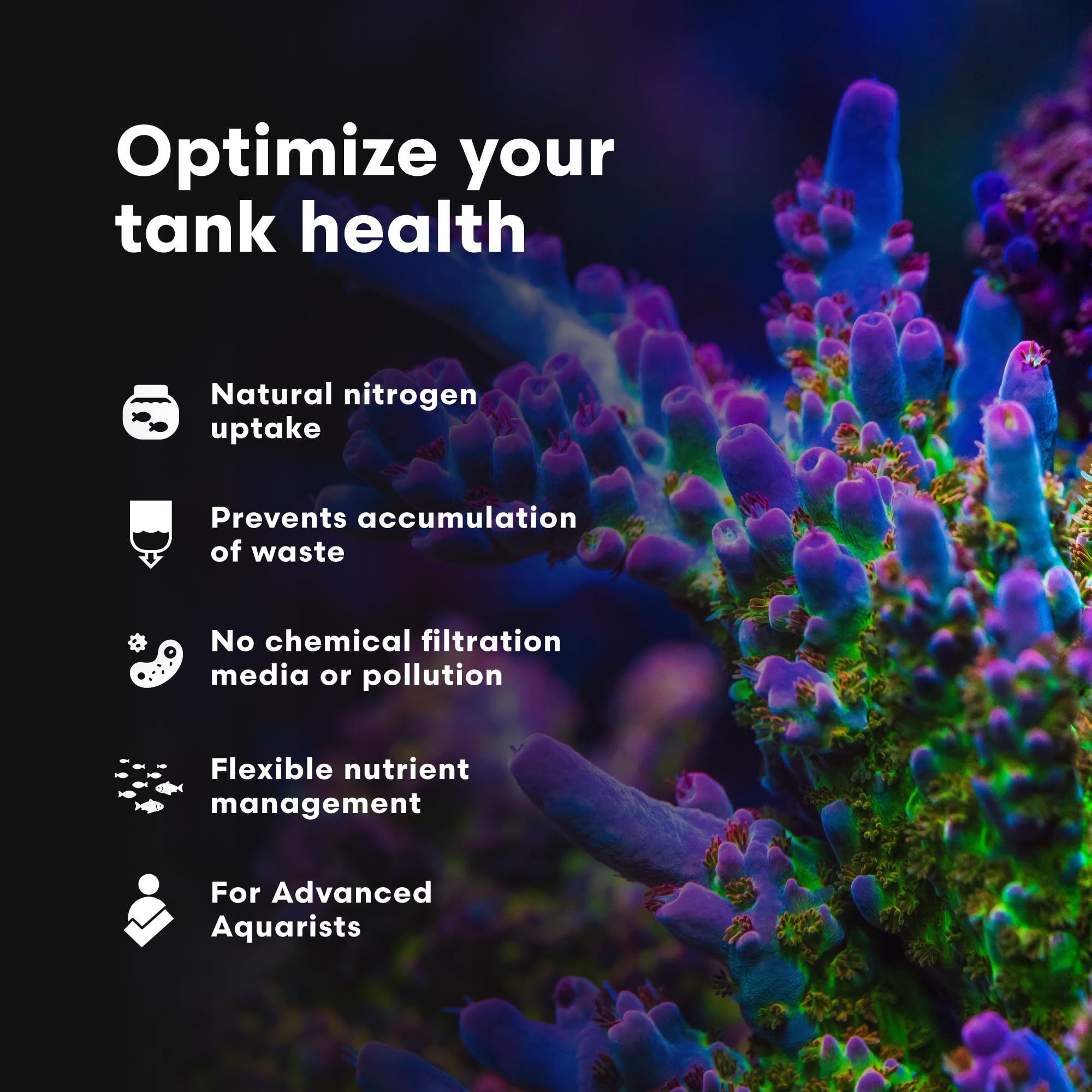 NeoPhos Brightwell Aquatics, mélange homogène dans l'eau du récif.