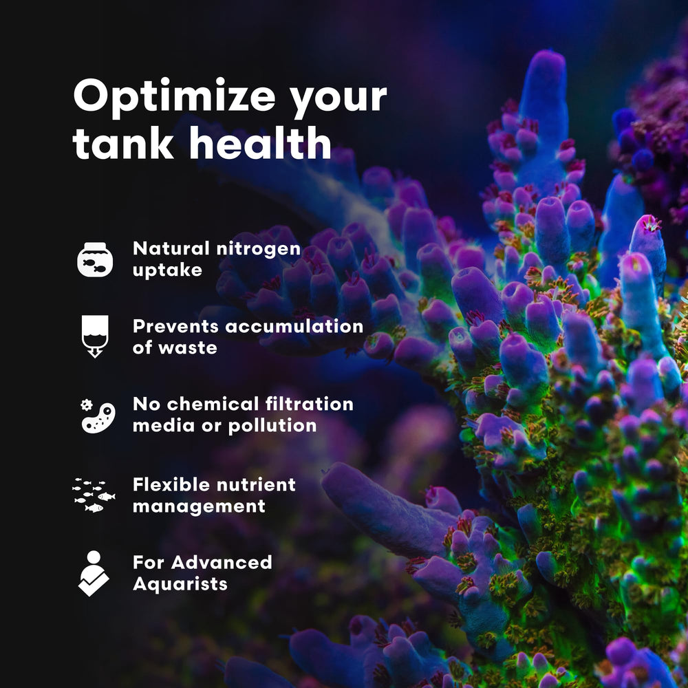 NeoPhos Brightwell Aquatics, mélange homogène dans l'eau du récif.
