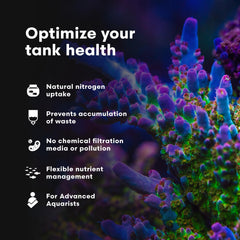 NeoPhos Brightwell Aquatics, mélange homogène dans l'eau du récif.