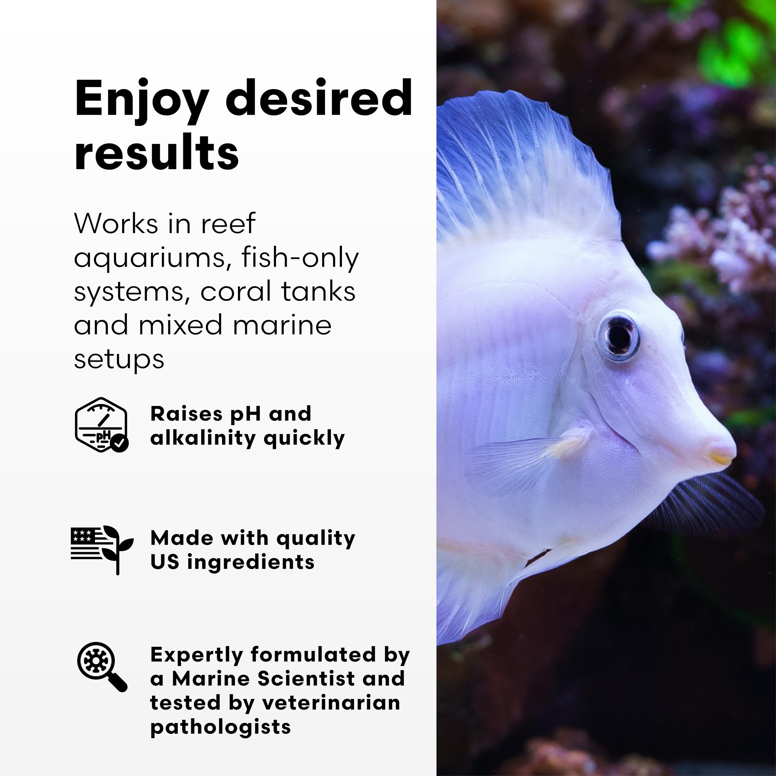 Brightwell Aquatics pH+ verre-mesure garantit des mesures précises pour un dosage régulier.