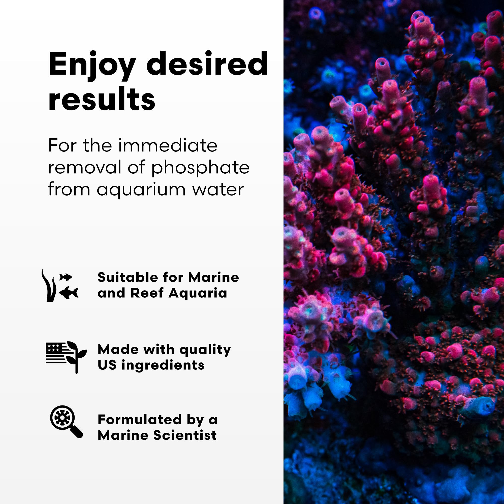 Brightwell Aquatics Phosphat-E dose quotidienne simple et fiable pour le maintien.