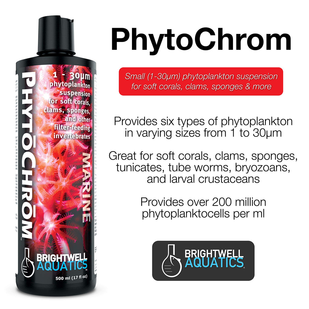 Coraux mous nourris par PhytoChrom, coloration optimisée et croissance saine.