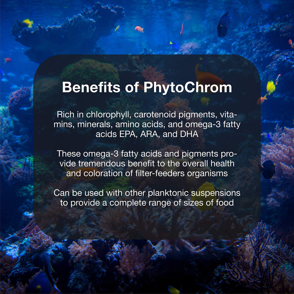 Palourdes et éponges bénéficient des nutriments variés fournis par PhytoChrom.