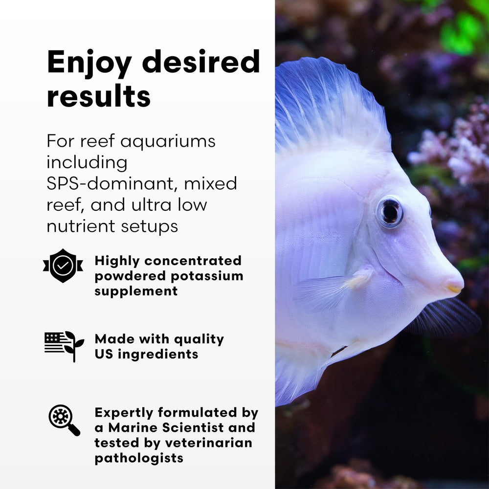 Doseur Potassion-P, flacon-doseur de Brightwell Aquatics, aide à maintenir les niveaux.