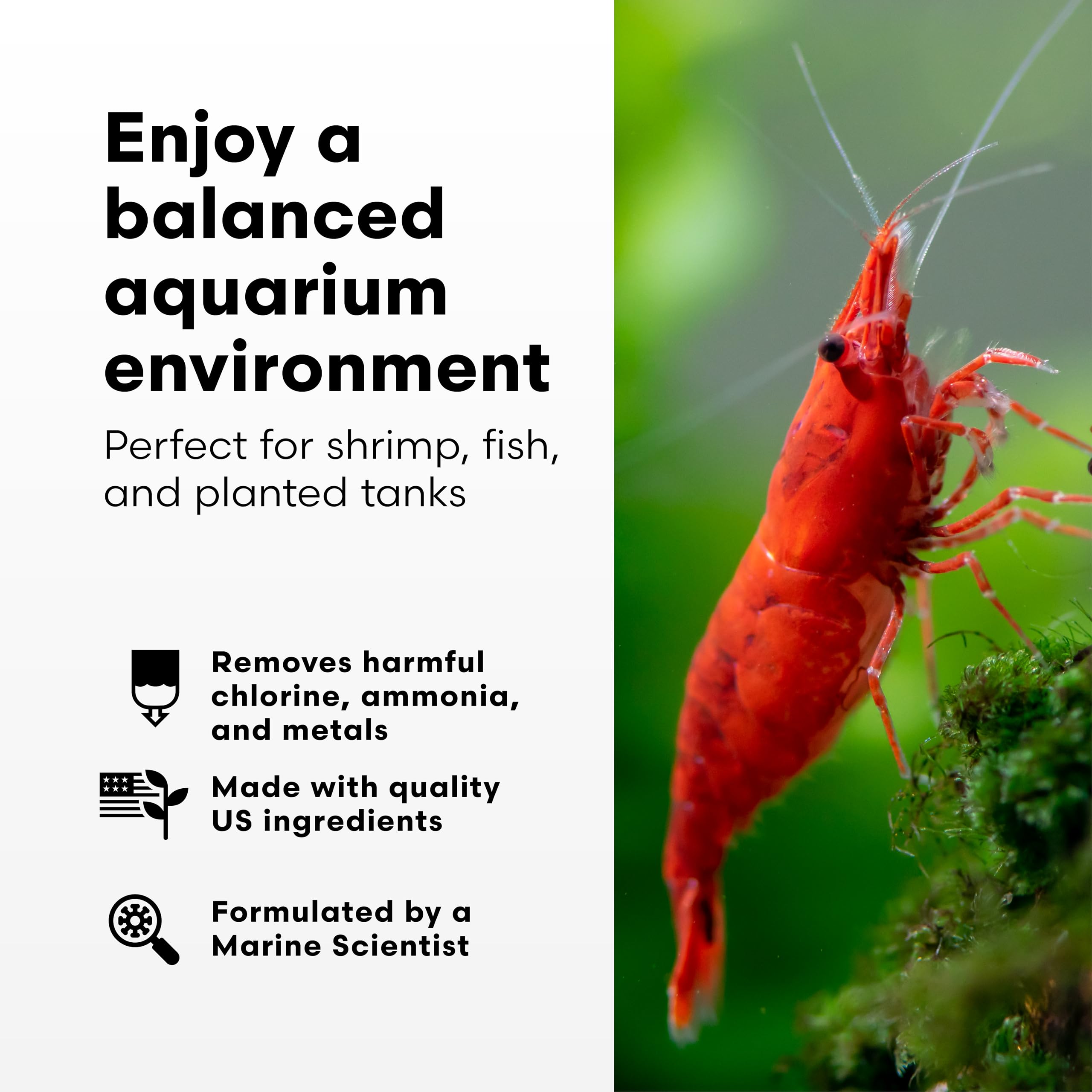 Brightwell Aquatics Préparation pour crevettes – eau claire et sans métaux lourds pour crevettes.