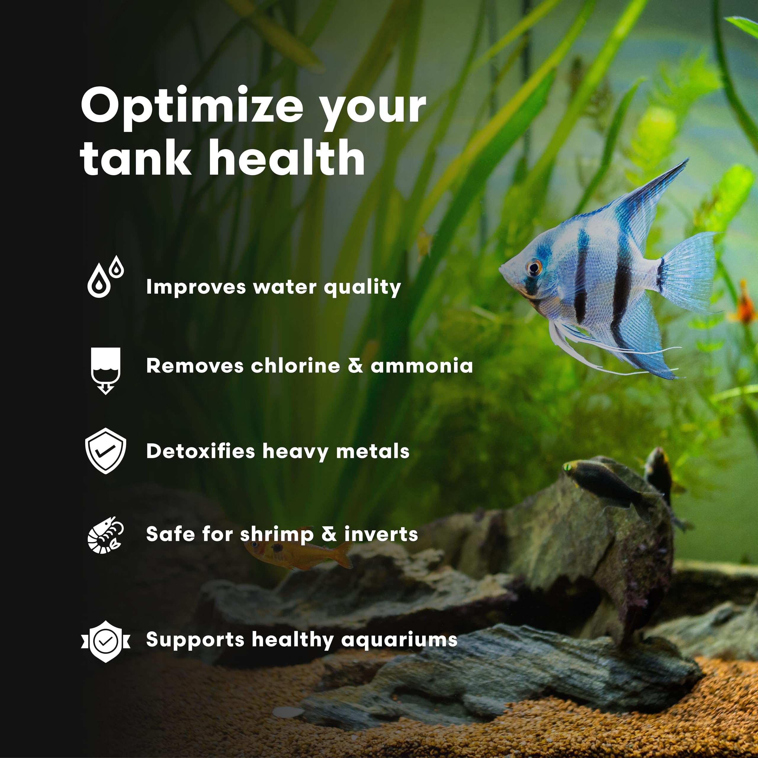 Brightwell Aquatics Préparation pour crevettes – habitat équilibré pour plantes et crevettes délicates.
