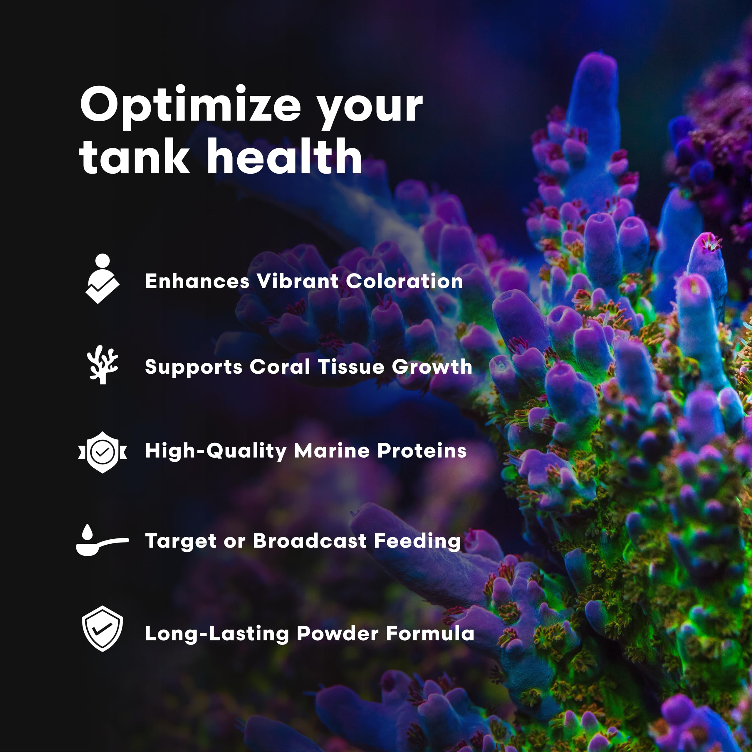 Brightwell Aquatics ReefBlizzard-A – couleur vive et brillance accrue pour le décor vivant.
