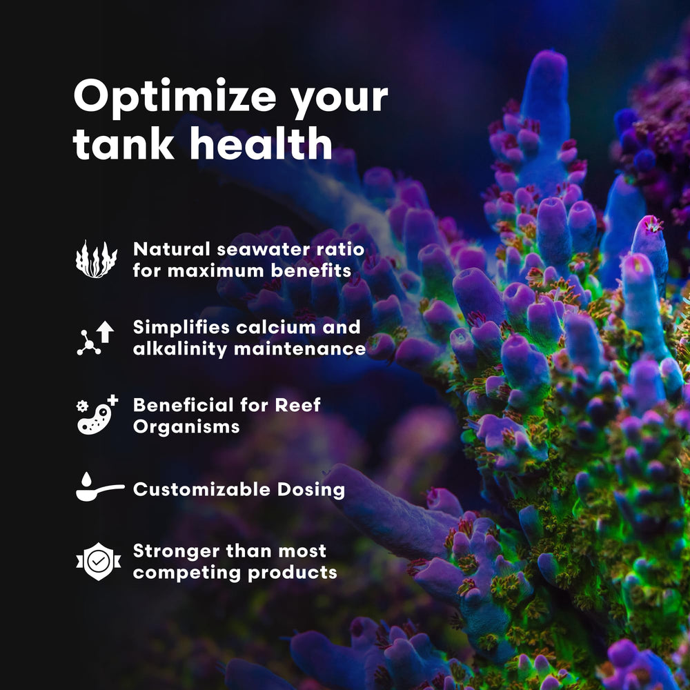 Reef Code A – dosage 5 ml pour 25 gallons, maintenance simplifiée des alcalinités.