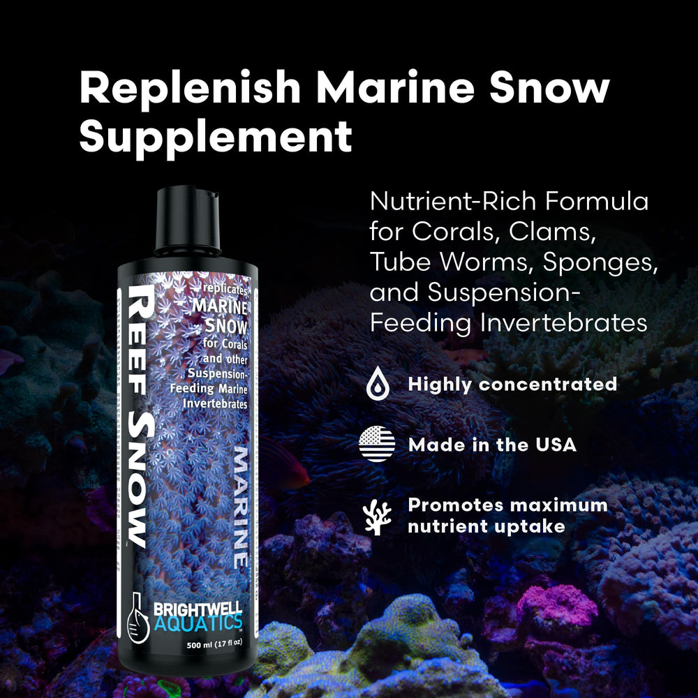 Brightwell Aquatics Reef Snow – Dispersion nocturne pour nourrir les coraux et leurs tissus.