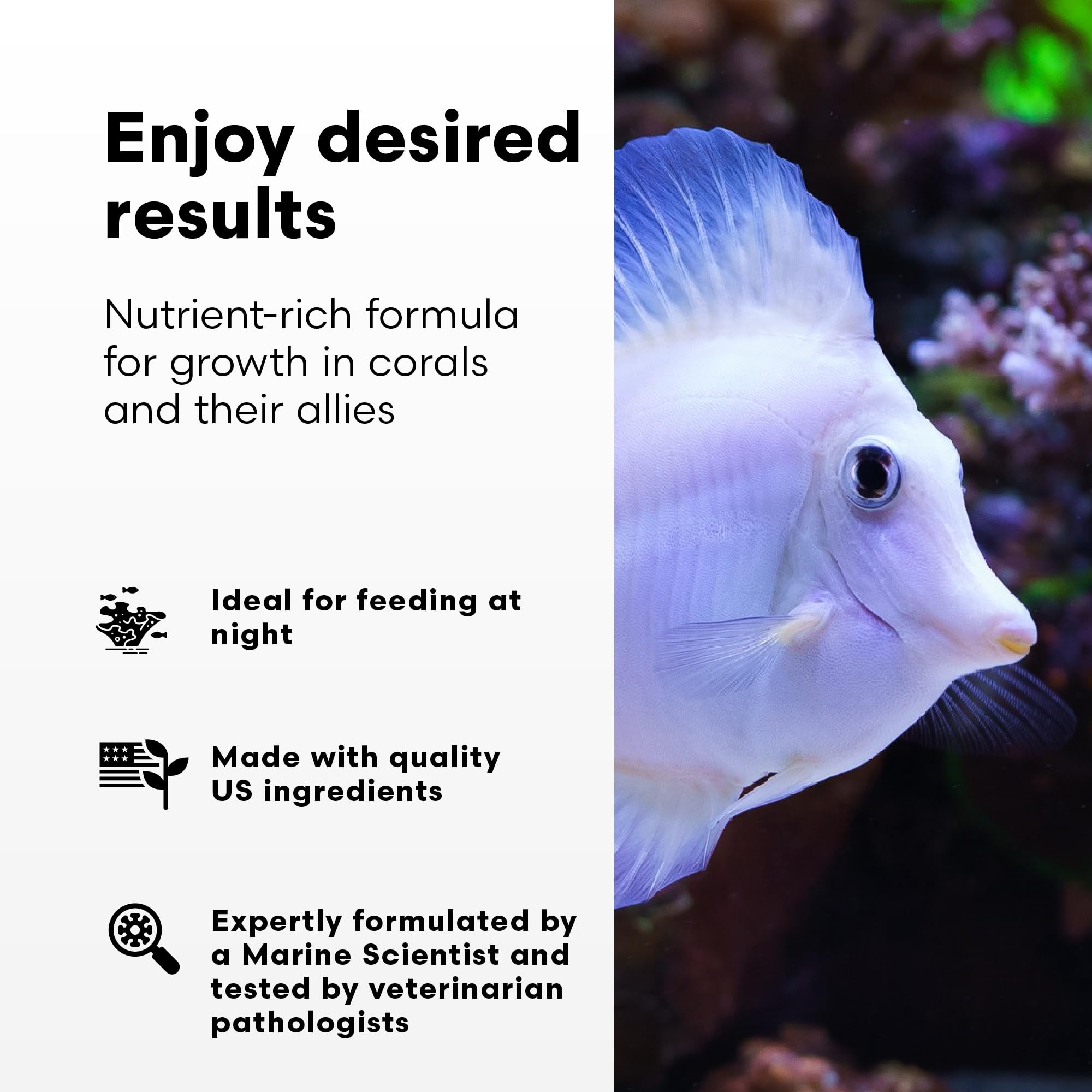 Brightwell Aquatics Reef Snow, protéines-lipides marins, soutient les tissus mous et les squelettes.