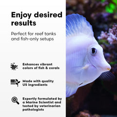 Brightwell Aquatics Replenish – coraux vibrant et couleurs accrues grâce à l’apport en éléments traces.