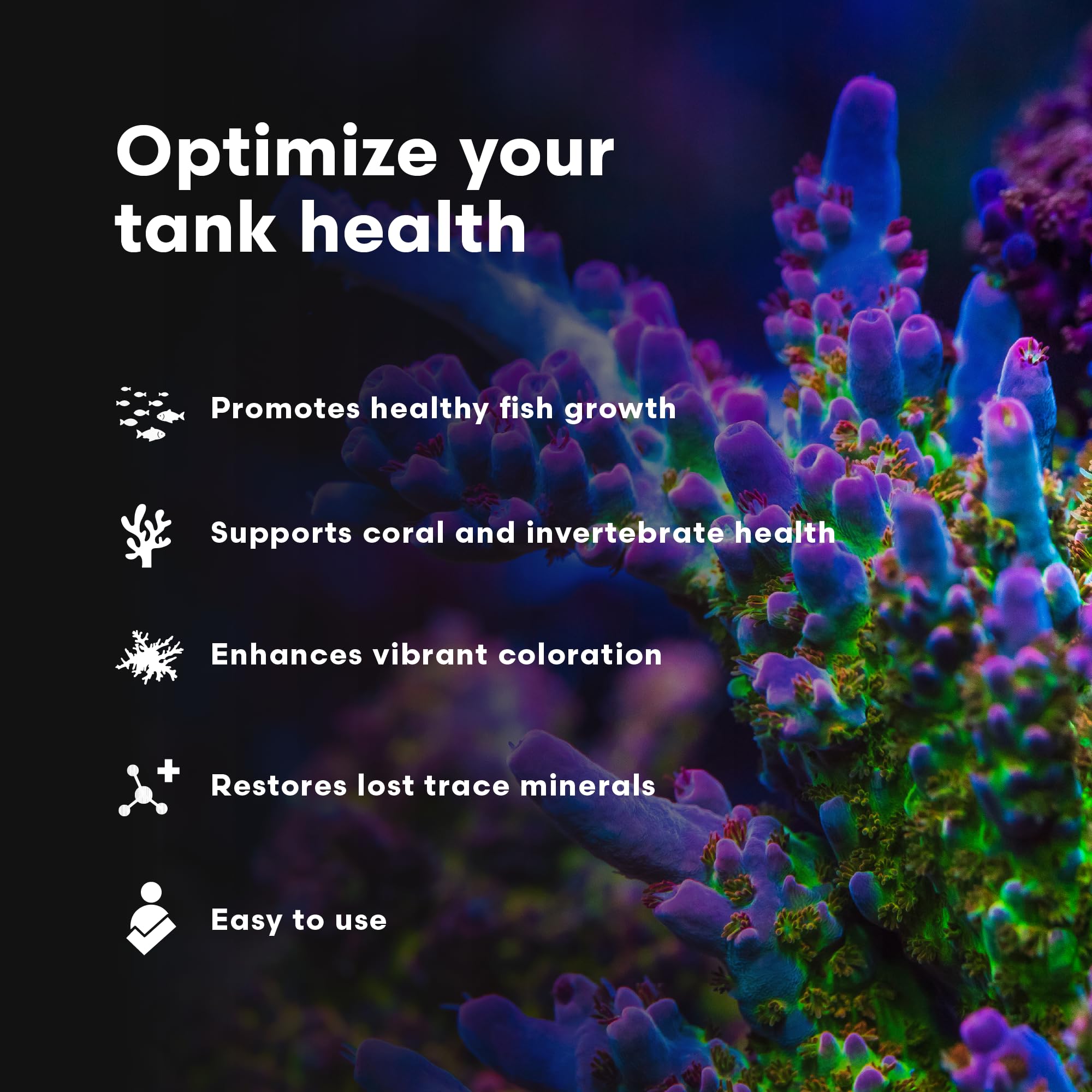 Brightwell Aquatics Replenish – poissons en meilleure vitalité grâce à des éléments clés.