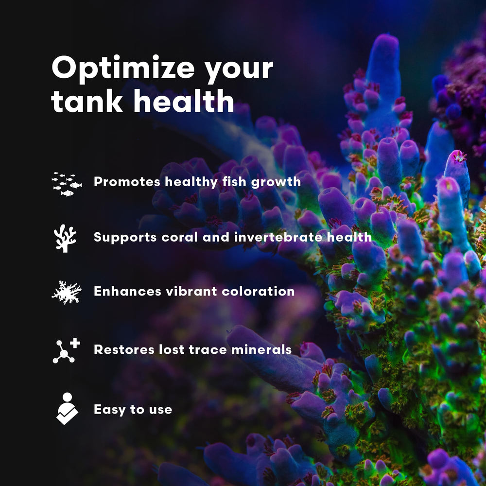 Brightwell Aquatics Replenish – poissons en meilleure vitalité grâce à des éléments clés.