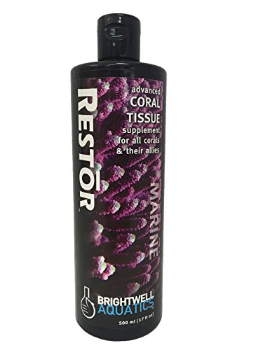 Restor Brightwell Aquatics – protection des coraux face au stress thermique.