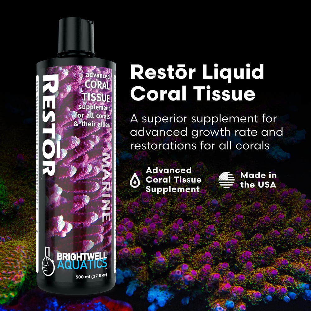 Restor Brightwell Aquatics – seringue de dosage prête à l'emploi pour une application précise.