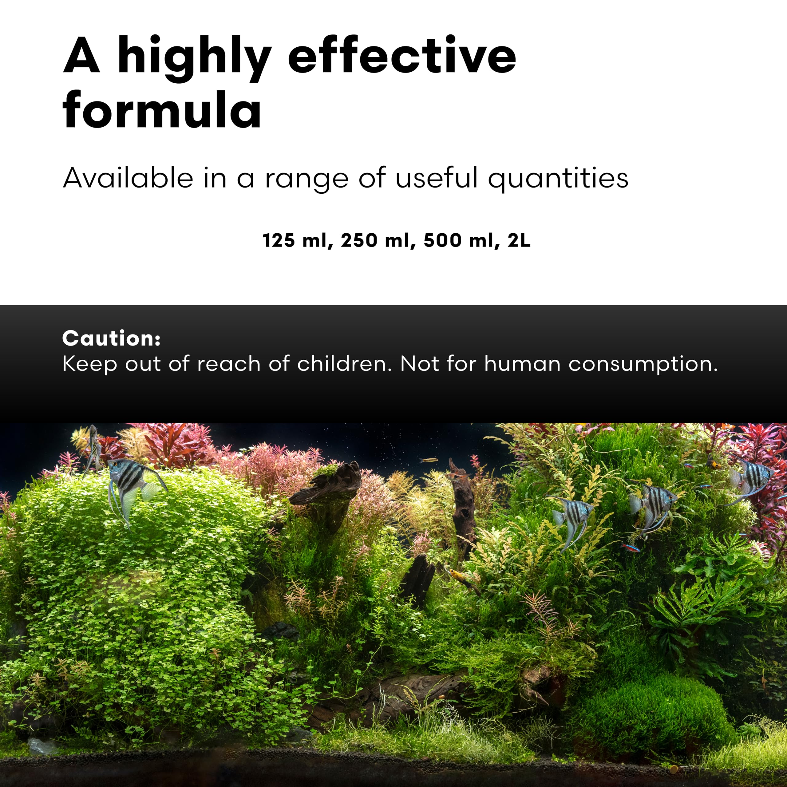 Brightwell Aquatics Shrimp FlorinMulti – eau stable; sans azote ni phosphore.