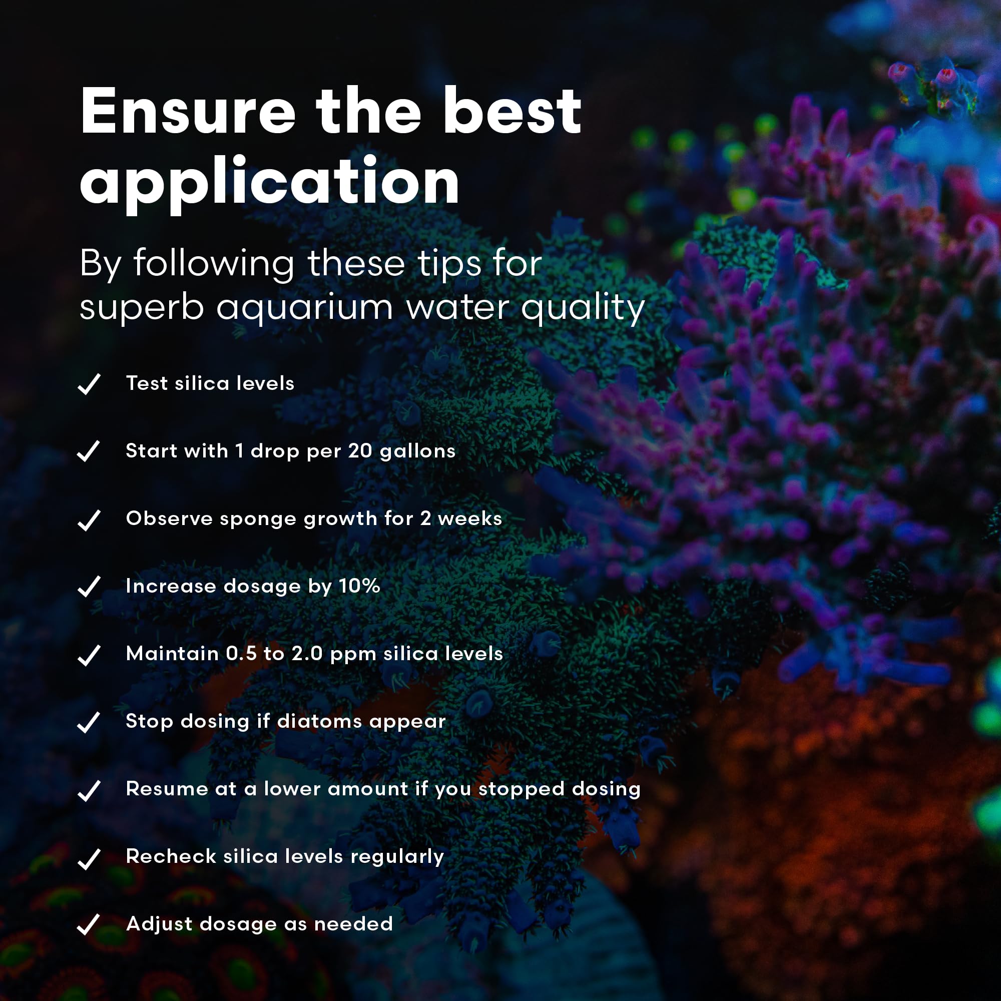 Brightwell Aquatics SpongExcel — details-dose: guide d'apport en silice.