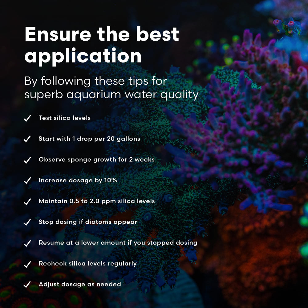 Brightwell Aquatics SpongExcel — details-dose: guide d'apport en silice.