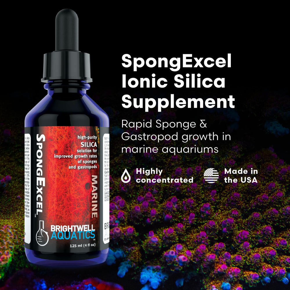 Brightwell Aquatics SpongExcel — doseur-gouttes: dosage précis pour une eau stable.