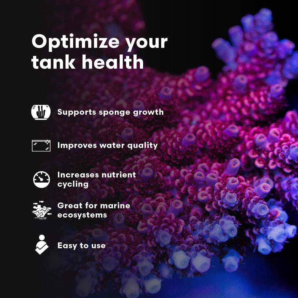 Brightwell Aquatics SpongExcel — emballage-protecteur: prêt à l'emploi pour aquarium.