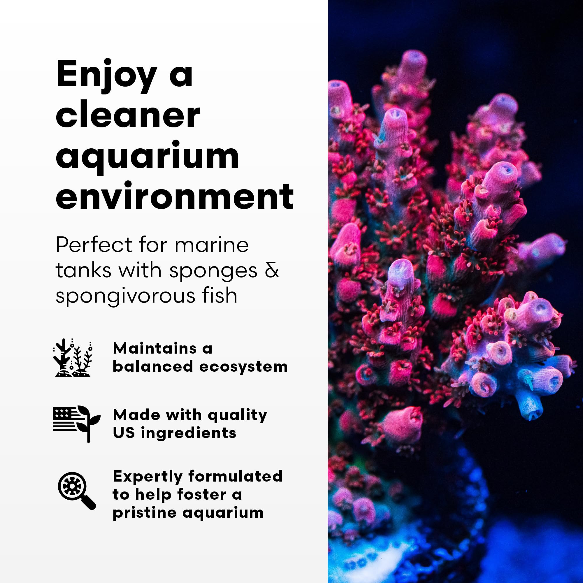 Brightwell Aquatics SpongExcel — etiquette-produit: affiche dosage recommandé et usage sûr.