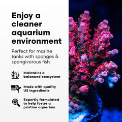 Brightwell Aquatics SpongExcel — etiquette-produit: affiche dosage recommandé et usage sûr.