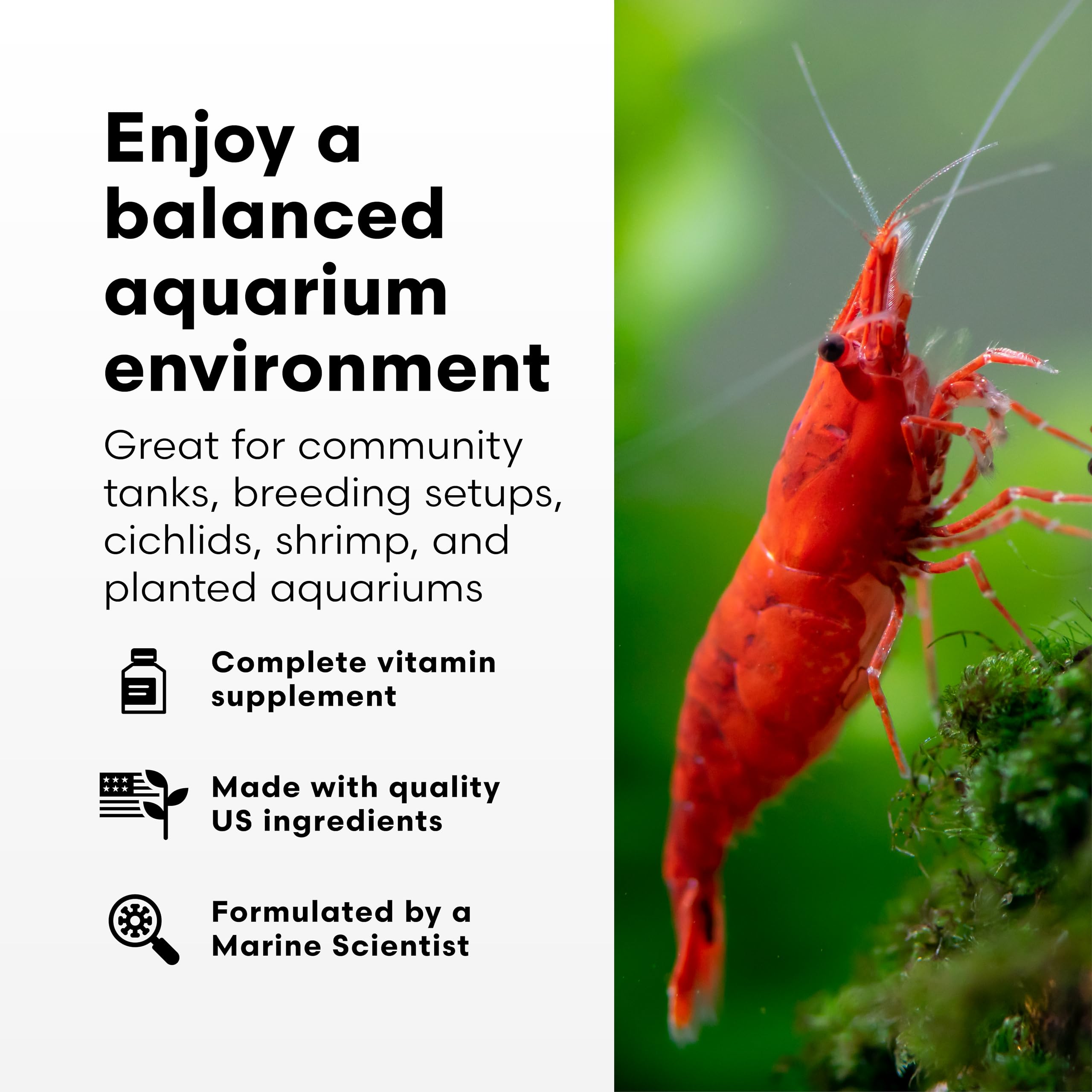 Vitamarin-F Brightwell Aquatics, couleur-des-poissons, coloration plus vive et énergie retrouvée.