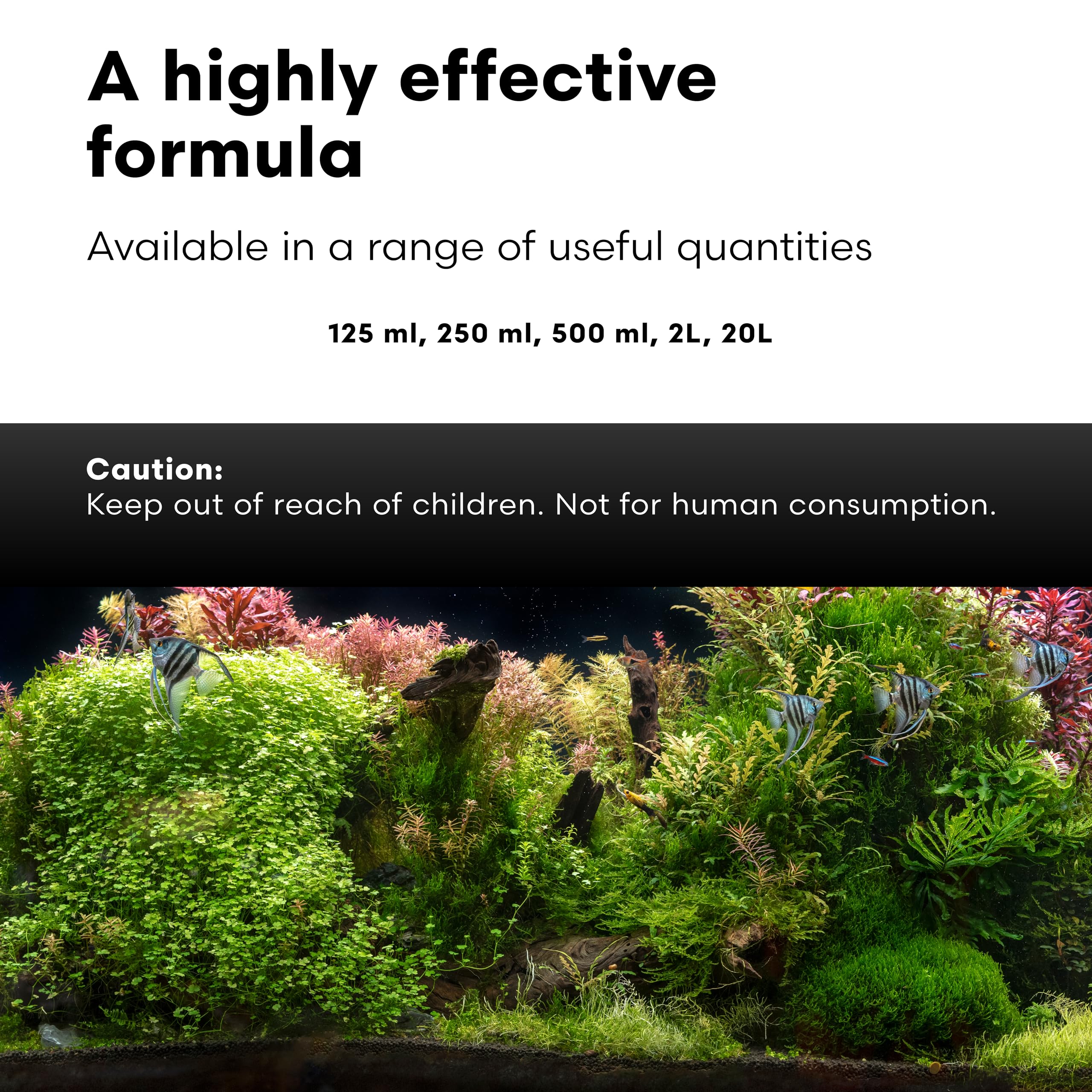 Vitamarin-F Brightwell Aquatics, elevage-alevins, aide les parents à nourrir et protéger les alevins.