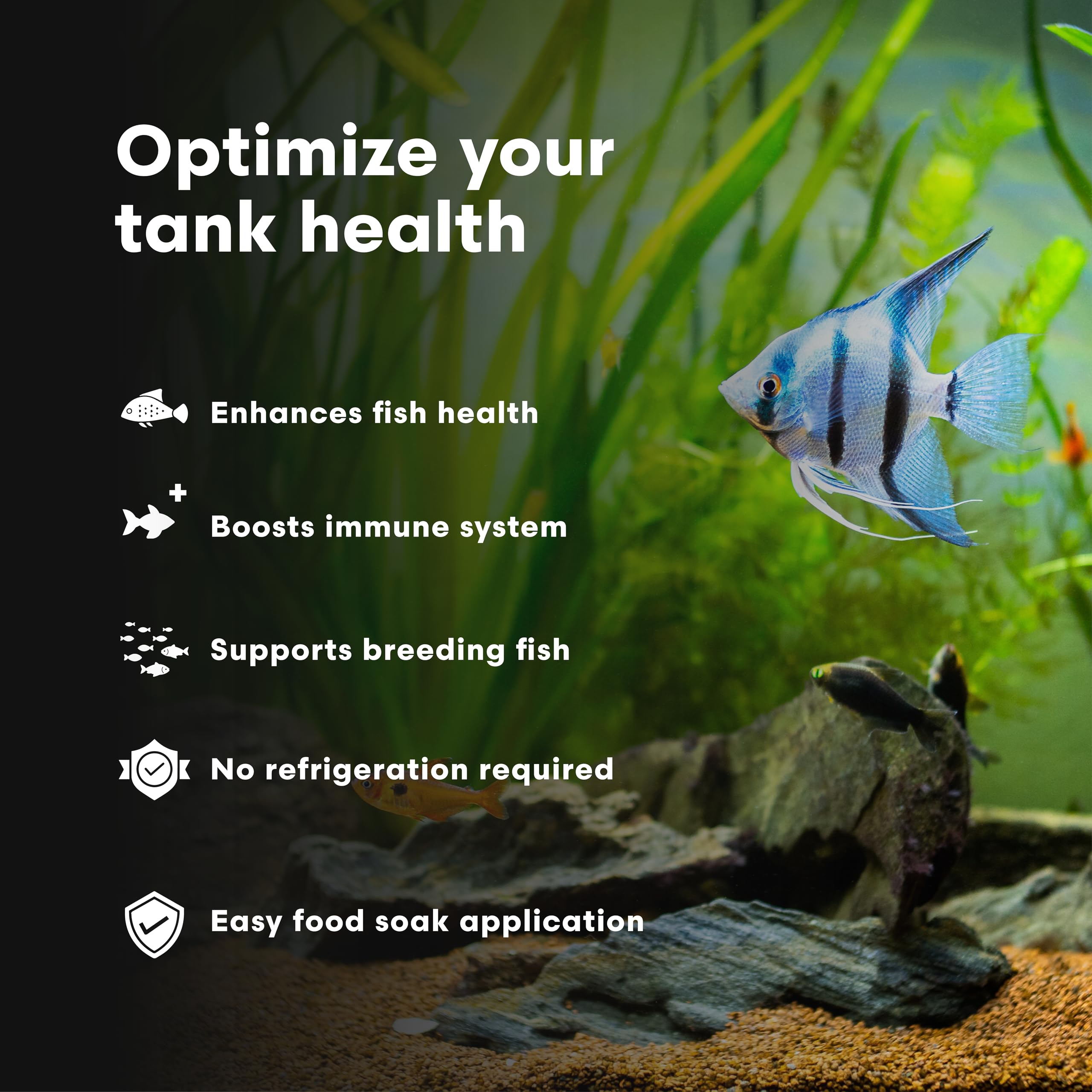Vitamarin-F Brightwell Aquatics, sante-immunite, soutient les défenses naturelles des poissons.