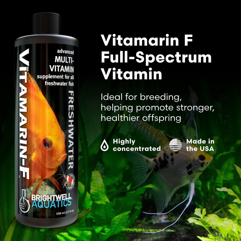 Vitamarin-F Brightwell Aquatics, trempage-nourriture, optimise l'absorption des vitamines par les poissons.