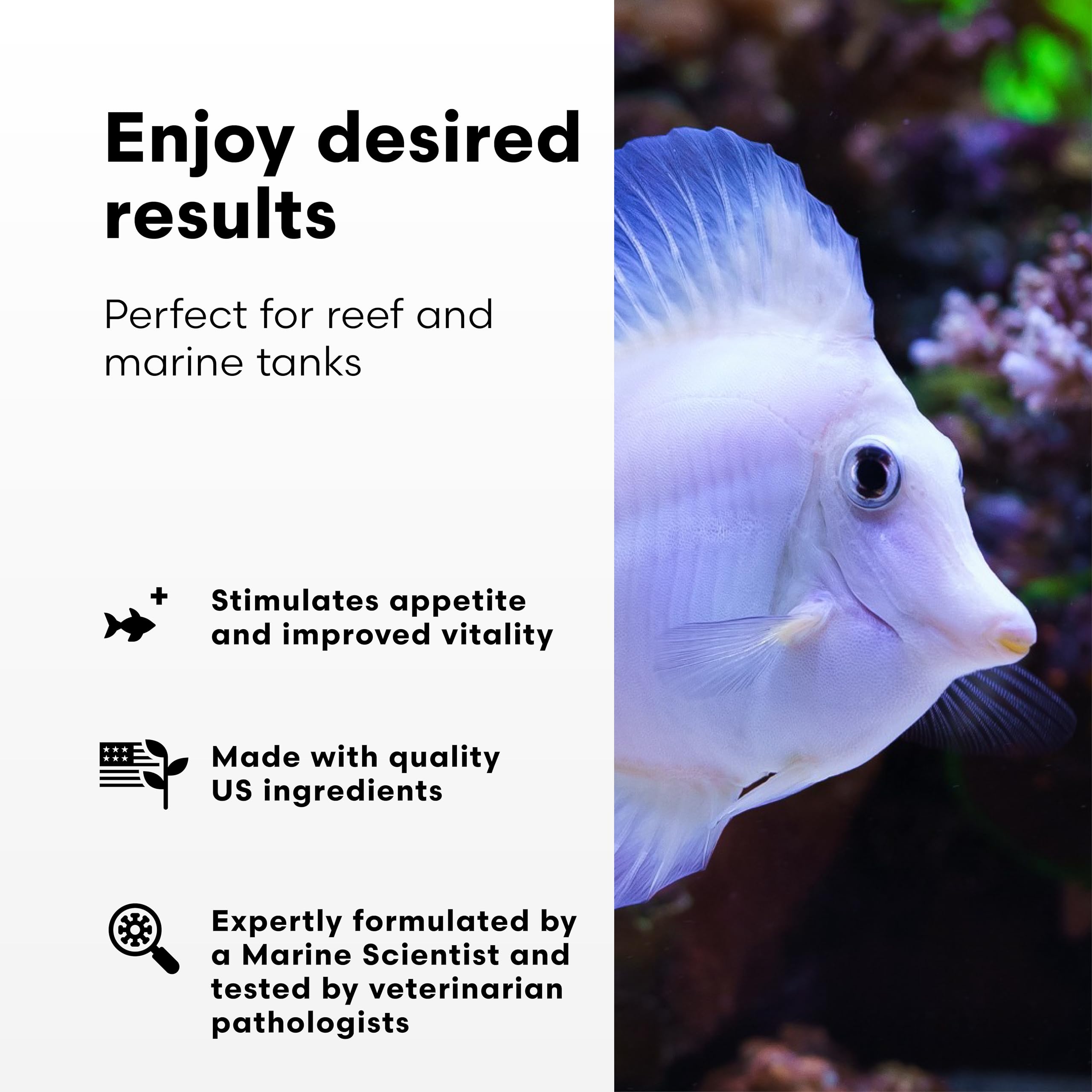 Brightwell GarlicPower ajoutant à l’eau d’aquarium pour une nutrition potentielle.