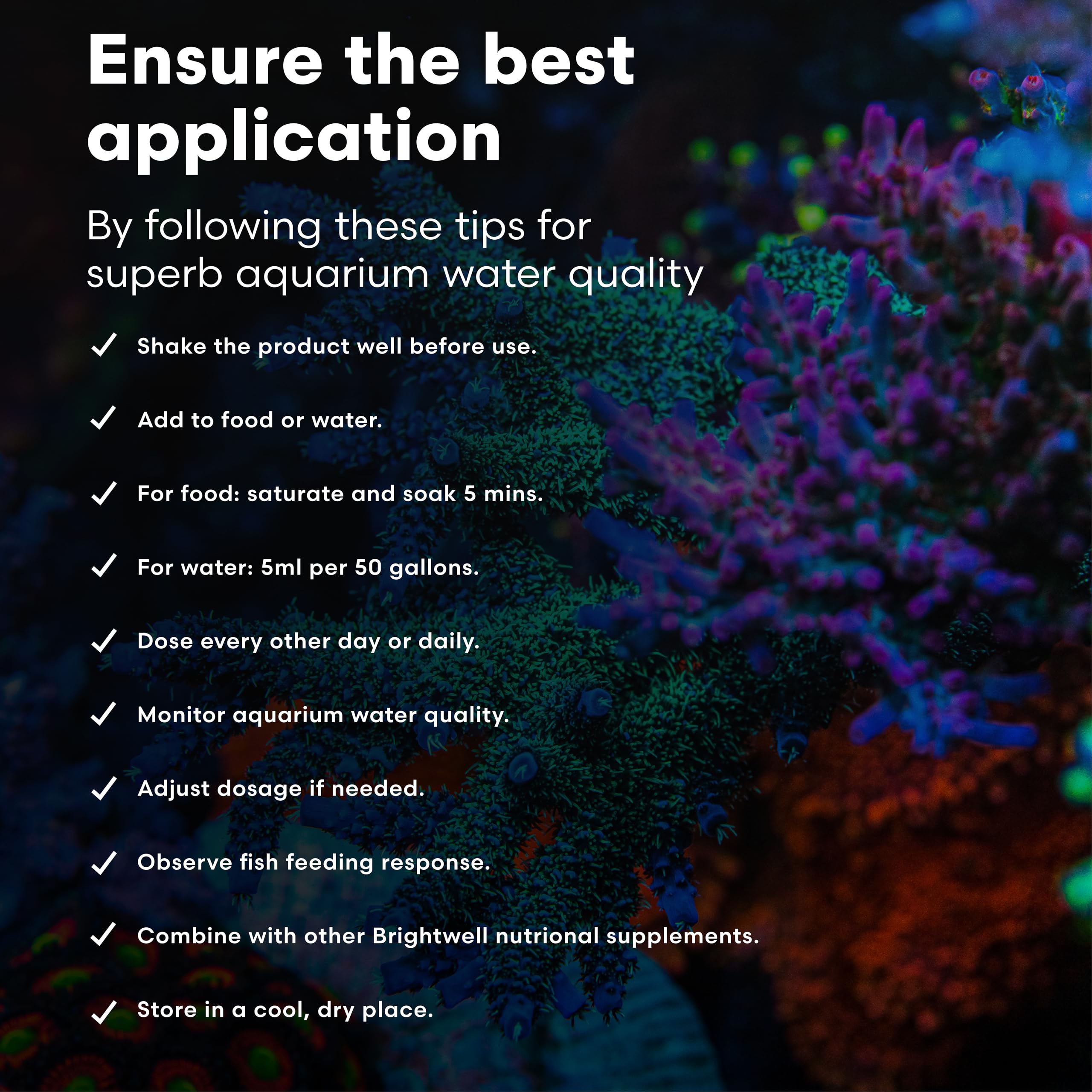 Couleurs plus vives et énergie accrue chez les poissons marins.