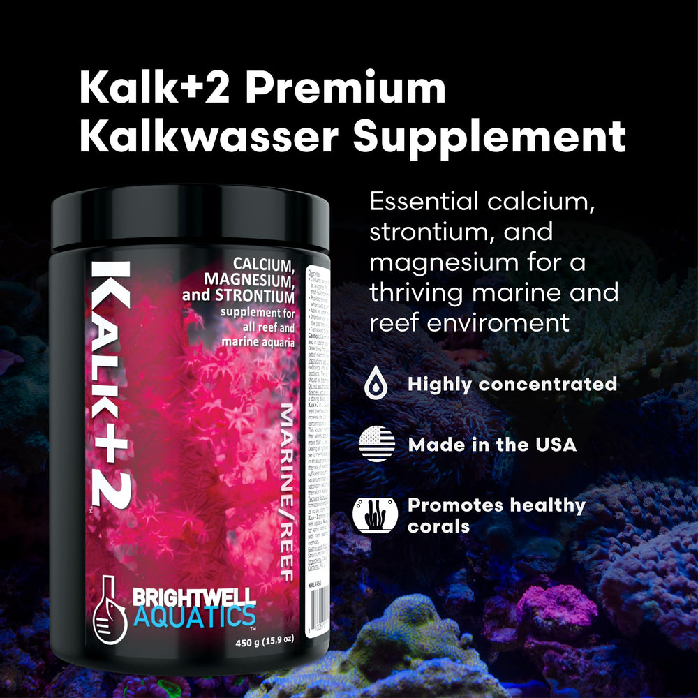 Brightwell Kalk+2 poudre strontium pour les squelettes d'aragonite des coraux.