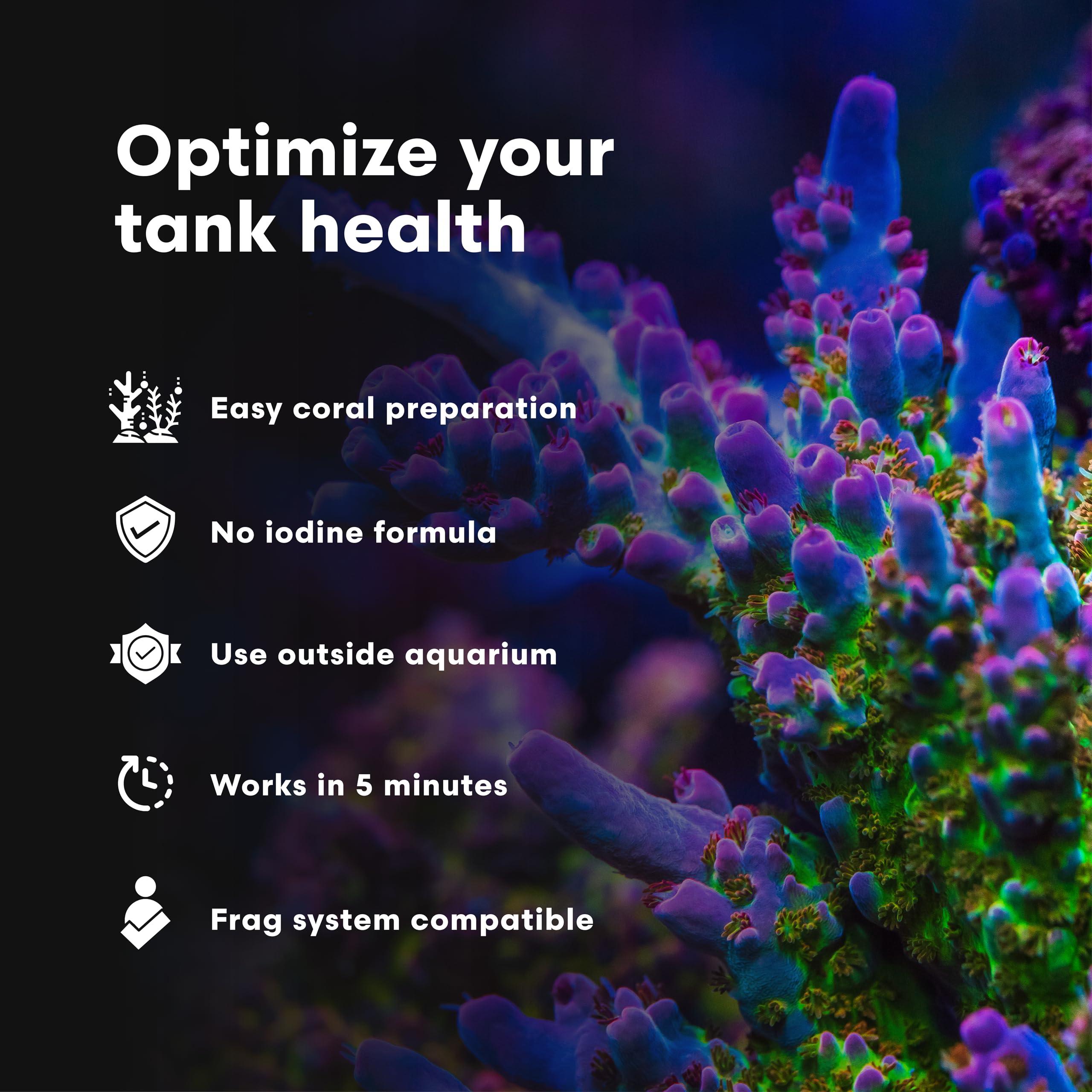Brightwell Aquatics Koral MD Dip convient à SPS, LPS, coraux mous et Zoanthids.