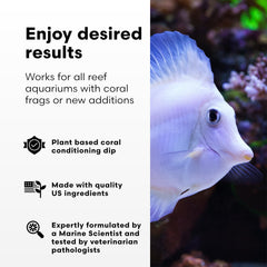 Brightwell Aquatics Koral MD Dip favorise un transfert sain des coraux entre éléments.