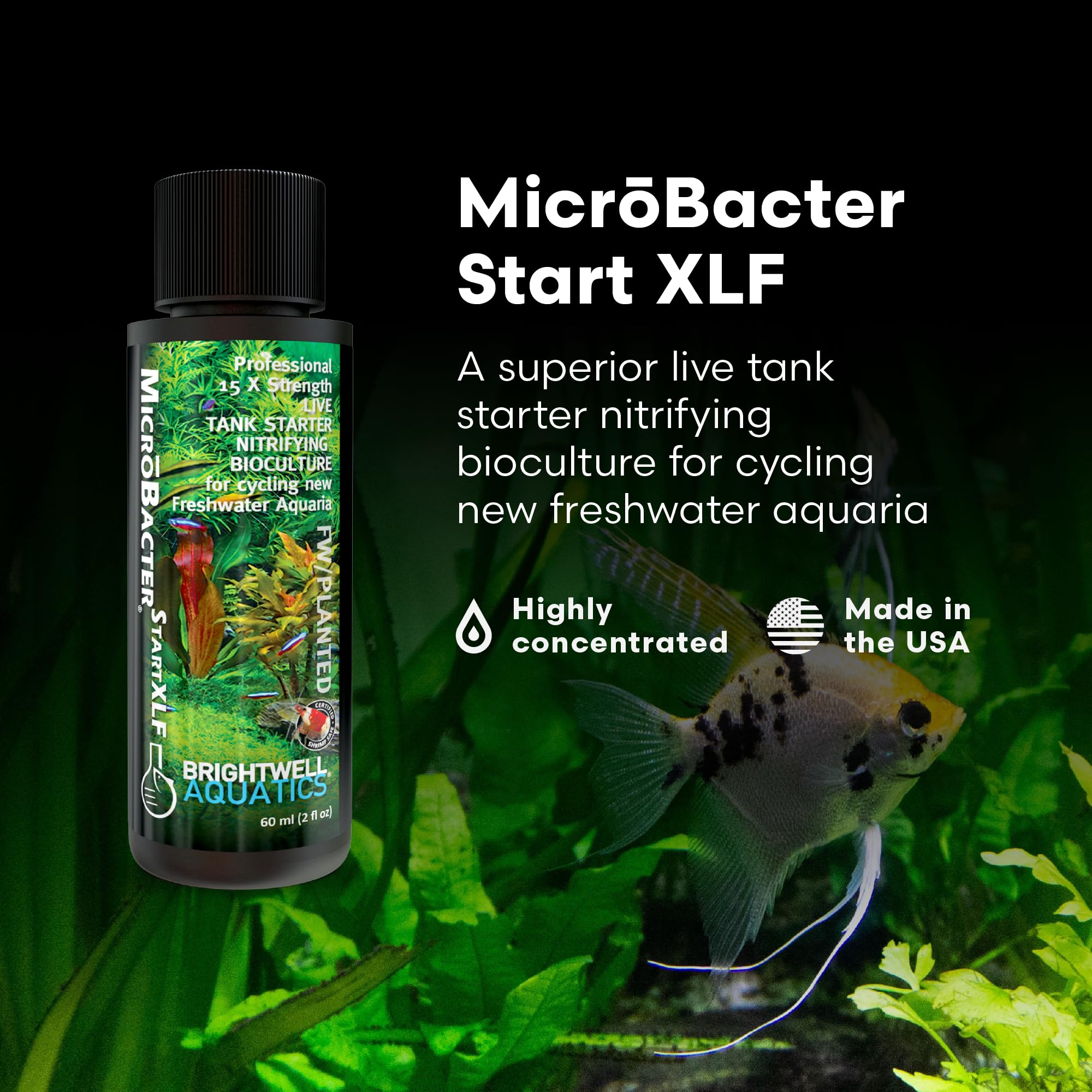 Brightwell MicroBacter Start XLF, bactéries nitrifiantes efficaces pour cycle rapide.