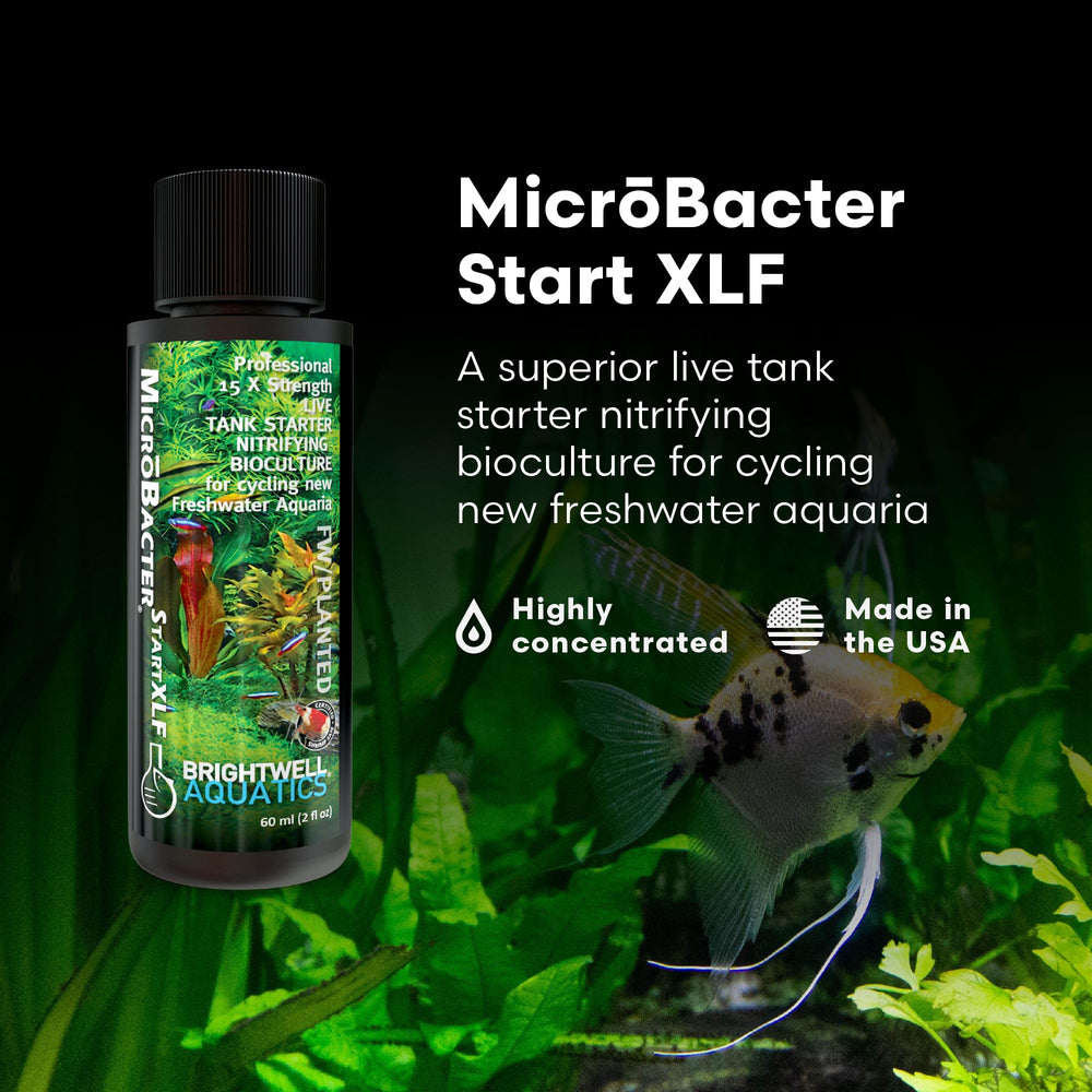 Brightwell MicroBacter Start XLF, bactéries nitrifiantes efficaces pour cycle rapide.