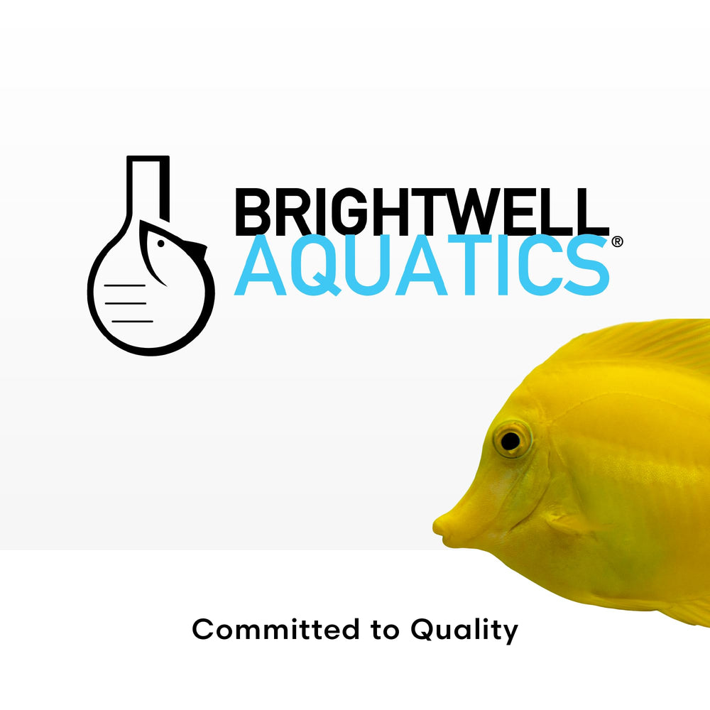 Brightwell Polyp Ignite fabriqué aux États‑Unis pour une qualité fiable.