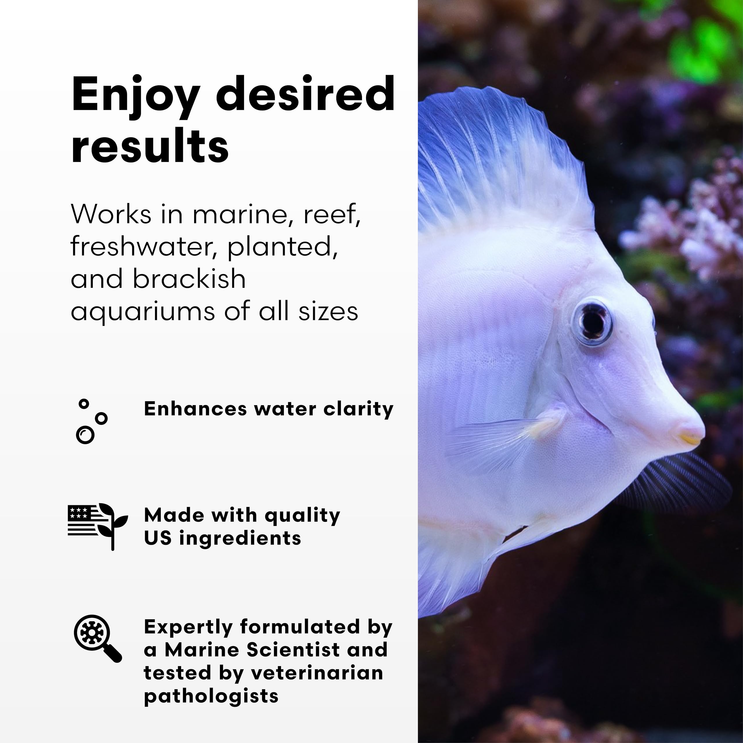 Brightwell RedoxIclean — amélioration de la filtration biologique et chimique de l'aquarium.