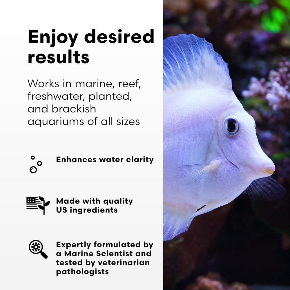 Brightwell RedoxIclean — amélioration de la filtration biologique et chimique de l'aquarium.