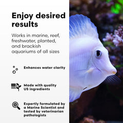 Brightwell RedoxIclean — amélioration de la filtration biologique et chimique de l'aquarium.