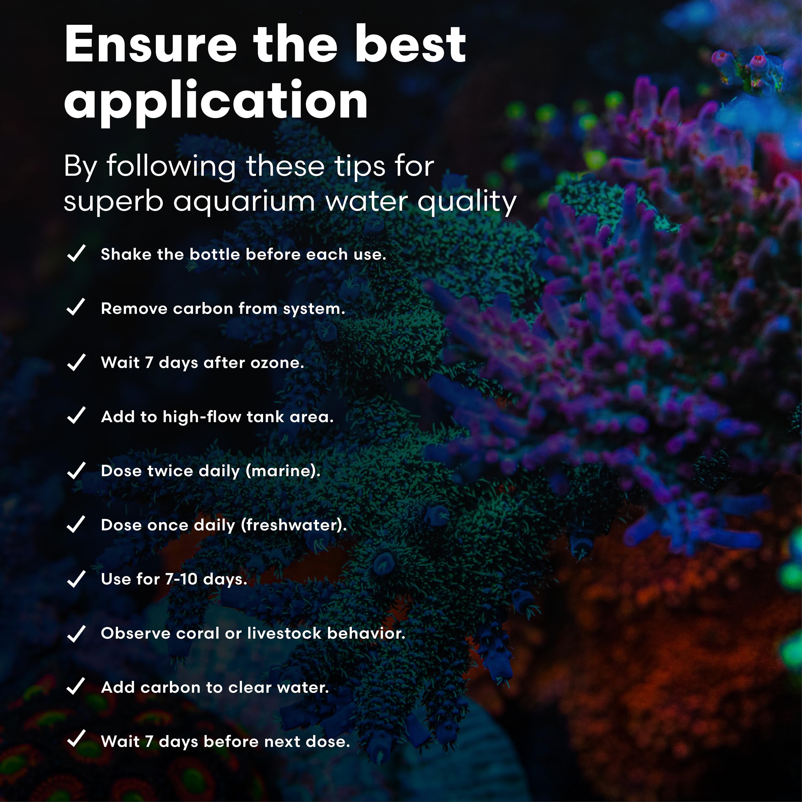 Brightwell RedoxIclean — soutient les systèmes de filtration pendant les charges biologiques.
