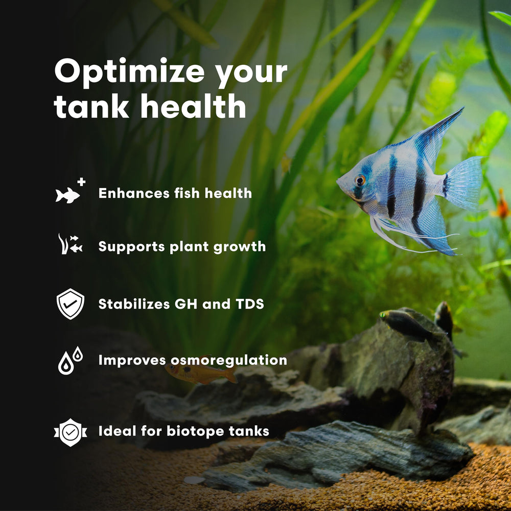 Brightwell Aquatics Remineraliz — aquarium-plantes favorise croissance et robustesse.