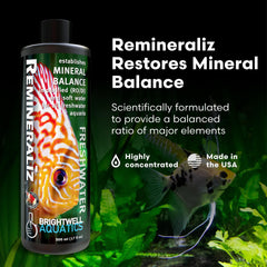 Brightwell Aquatics Remineraliz — eau distillée minéralisée pour un équilibre chimique.