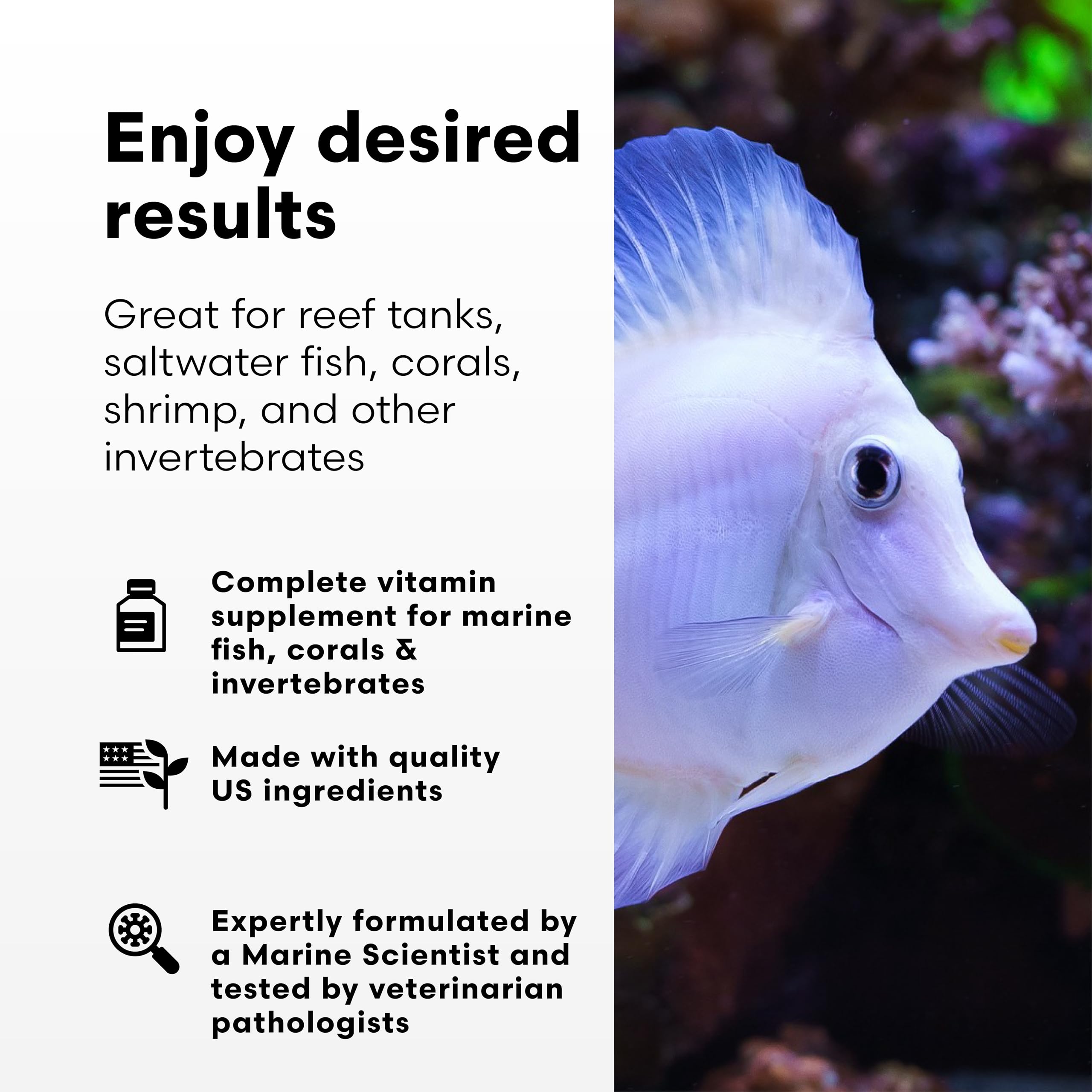 Vitamarin-M Brightwell Aquatics – Coraux en fragging favorisent croissance et vitalité.