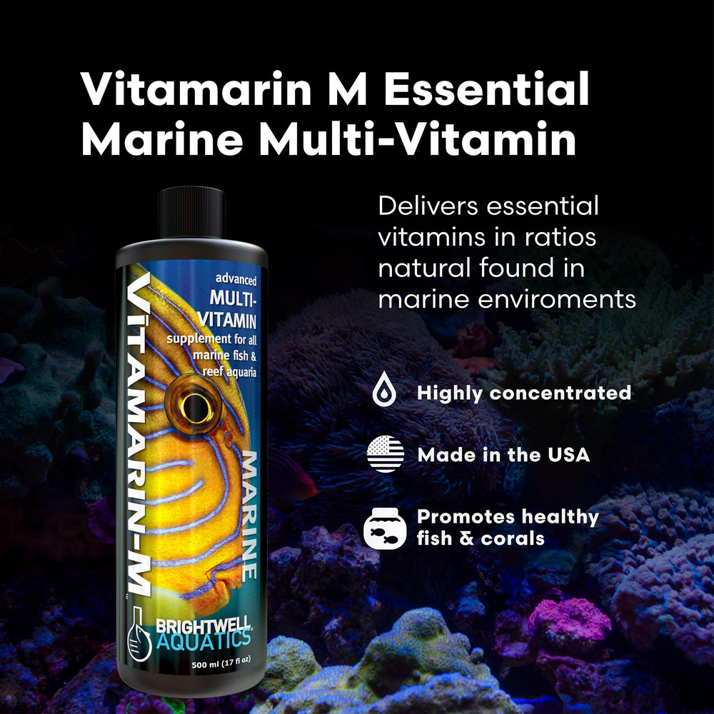Vitamarin-M Brightwell Aquatics – Poissons et coraux bénéficient potentiellement de couleurs améliorées.