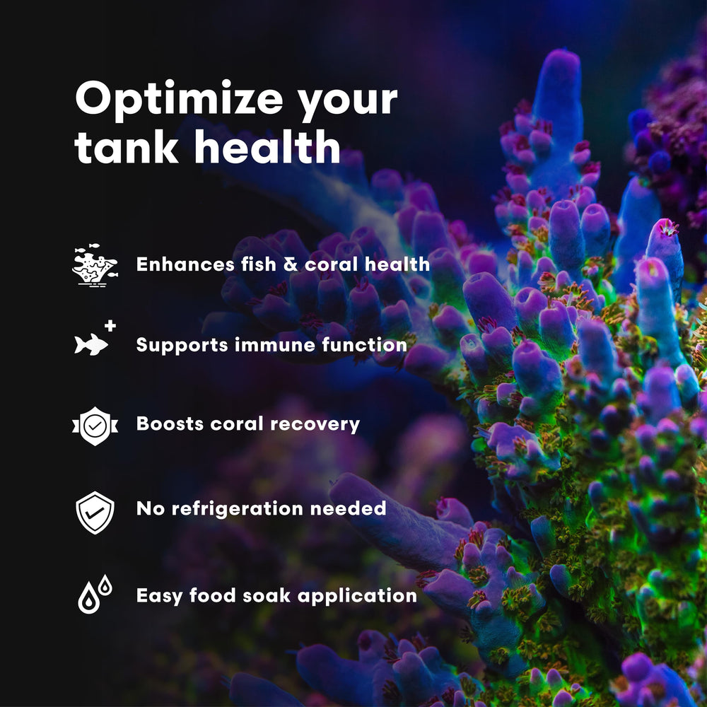 Vitamarin M: vitalité accrue des poissons marins et meilleure endurance.